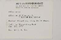 半月形鐵線蕨藏品圖，第2張