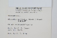 蓧蕨藏品圖，第2張