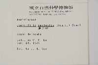 地耳蕨藏品圖，第2張