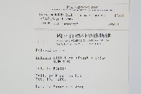 大線蕨藏品圖，第2張