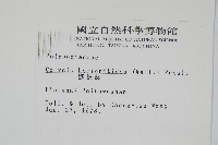 斷線蕨藏品圖，第2張