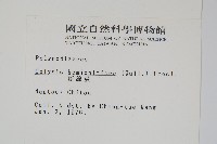 斷線蕨藏品圖，第2張