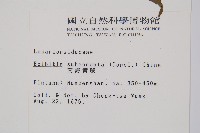 海南實蕨藏品圖，第2張