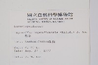 刺蕨藏品圖，第2張