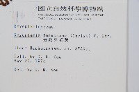 臺灣鱗毛蕨藏品圖，第2張