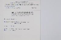 鐮葉耳蕨藏品圖，第2張