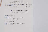 鐮葉耳蕨藏品圖，第2張