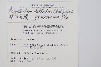 對生耳蕨藏品圖，第2張