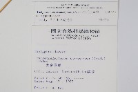 粗毛金星蕨藏品圖，第2張