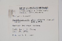 密腺副金星蕨藏品圖，第2張