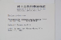 翅軸假金星蕨、短柄卵果蕨藏品圖，第2張