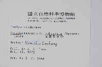 光囊紫柄蕨藏品圖，第2張