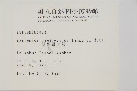 薄葉孔雀鐵角蕨、邊孢鐵角蕨藏品圖，第2張