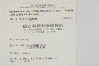 大黑柄鐵角蕨、黃鱗鐵角蕨、大羽鐵角蕨藏品圖，第2張