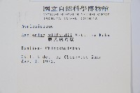 威氏鐵角蕨藏品圖，第2張