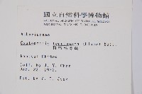 粗柄毛冷蕨藏品圖，第2張