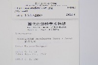 菜蕨藏品圖，第2張