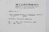 貞蕨藏品圖，第2張