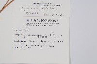 阿里山蹄蓋蕨藏品圖，第2張