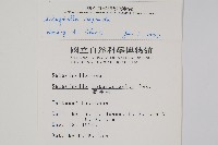 高雄卷柏藏品圖，第2張