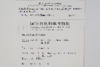 高雄卷柏藏品圖，第2張