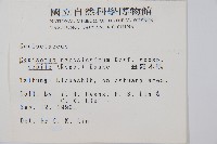 臺灣木賊藏品圖，第2張