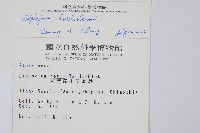 德氏雙蓋蕨藏品圖，第2張
