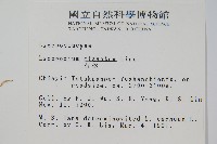 石松藏品圖，第2張