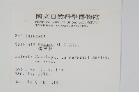 人厭槐葉蘋、速生槐葉蘋藏品圖，第2張