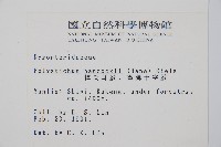 韓氏耳蕨藏品圖，第2張