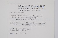 長柄千層塔藏品圖，第2張