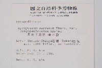 長柄千層塔藏品圖，第2張