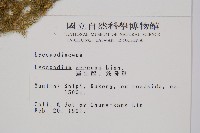 過山龍藏品圖，第2張