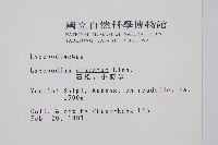 石松藏品圖，第2張