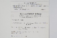 骨牌蕨藏品圖，第2張