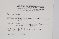 瓦葦藏品圖，第2張