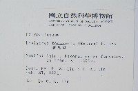 擬瓦葦藏品圖，第2張