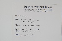 傅氏鳳尾蕨藏品圖，第2張