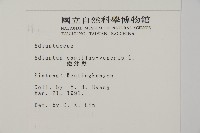 鐵線蕨藏品圖，第2張