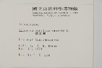 鐵線蕨藏品圖，第2張