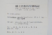 玉山茀蕨藏品圖，第2張