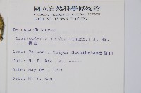 栗蕨藏品圖，第5張