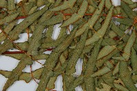 栗蕨藏品圖，第8張