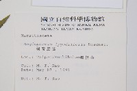 觀音座蓮藏品圖，第2張