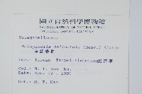 全緣卷柏藏品圖，第2張