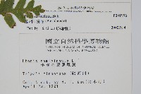 疏羽半邊旗藏品圖，第2張