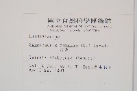 烏蕨藏品圖，第2張