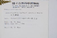 司氏碗蕨藏品圖，第2張