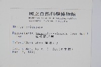 翅軸假金星蕨、短柄卵果蕨藏品圖，第2張