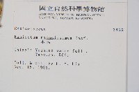 木賊藏品圖，第2張